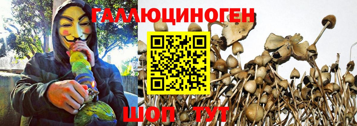 Псилоцибиновые грибы мухоморы  Вход с VPN  Ипатово  Псилоцибиновые грибы Magic Shrooms 