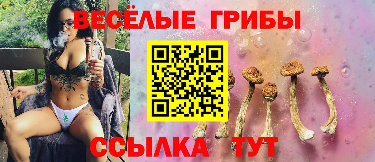 Псилоцибиновые грибы прущие грибы Ипатово